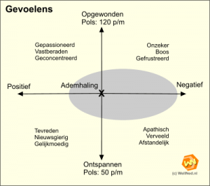 Gevoelens en hormonen