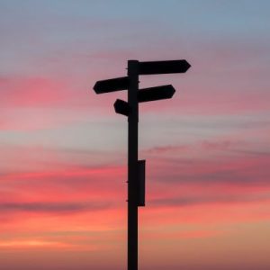 Groeiers kunnen alle kanten op, van zekerheid naar onzekerheid