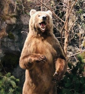 Gevaar! Veranderen is moeilijk. Angst