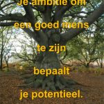 Je ambitie om een goed mens te zijn bepaalt je potentieel