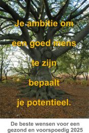 Groei Momenten – december 2024 – Een nieuwe start voor je welzijn of meer van hetzelfde?