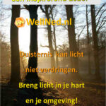 Duisternis kan licht niet verdringen. Breng licht in je hart en je omgeving!