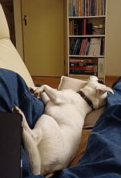 Groei Momenten december ’25: Beter laat (groeien) dan nooit