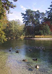 Helderheid over persoonlijke groei en gedragsverandering